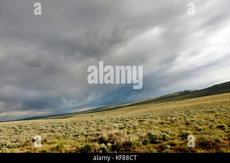 Usa, Wyoming, Lager, weite Prarie Landschaft, Big Creek Ranch Stockfoto