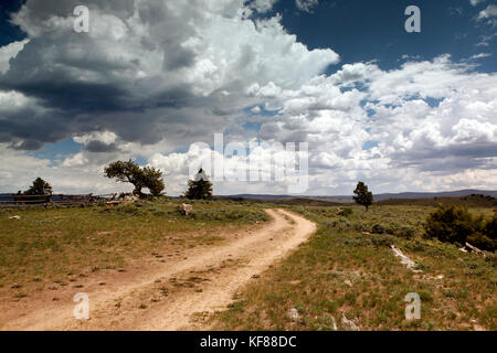 Usa, Wyoming, Lager, offene Landschaft mit Wolken und eine Dirt Road, abara Ranch Stockfoto