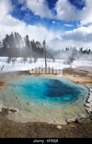 Usa, Wyoming, Yellowstone National Park, leder Pool auf dem Fountain Paint Pot Trail im unteren Geyser Basin Stockfoto