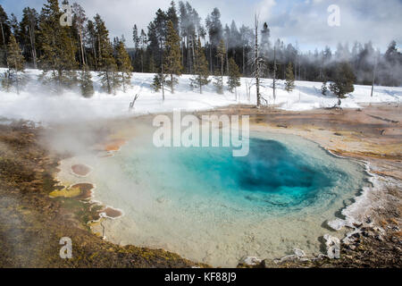 Usa, Wyoming, Yellowstone National Park, leder Pool auf dem Fountain Paint Pot Trail im unteren Geyser Basin Stockfoto