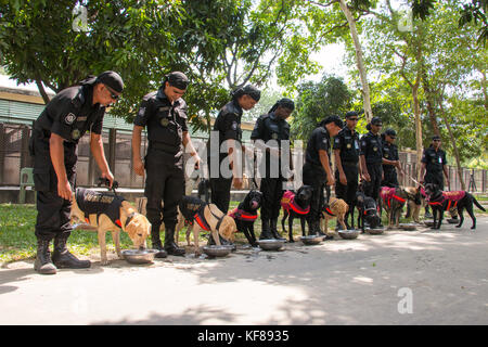 Hund Squad ist super Teil für die Verhütung des Terrorismus, Drogenschmuggel, Bombe, Terror gefangen und viele weitere Aktivitäten Stockfoto