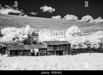 Eine alte Wellblech Bauernhaus in Exmoor Schuß im Infrarot. Stockfoto