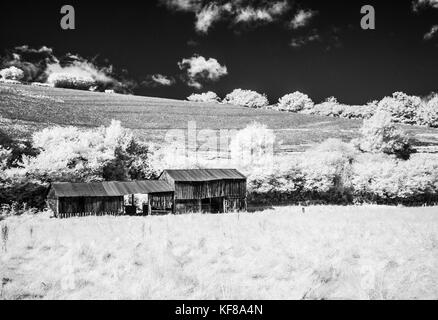 Eine alte Wellblech Bauernhaus in Exmoor Schuß im Infrarot. Stockfoto