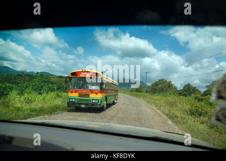 Belize, Vignette von der Fahrt entlang der Hummingbird Highway von Hopkins Stadt zu Belize Stockfoto