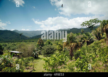 Belize, Vignette von der Fahrt entlang der Hummingbird Highway von Hopkins Stadt zu Belize Stockfoto