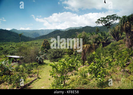 Belize, Vignette von der Fahrt entlang der Hummingbird Highway von Hopkins Stadt zu Belize Stockfoto