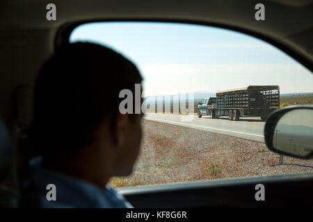 Usa, Nevada, Brunnen, den Transport der Pferde bei Mustang Monument, einer nachhaltigen Luxus Eco Resort und für wilde Pferde erhalten, Amerika speichern Stockfoto