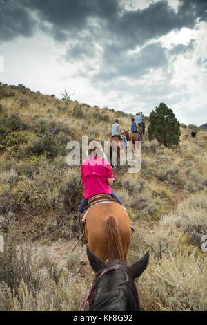 Usa, Nevada, Brunnen, Gäste können im Pferd teilnehmen Reiten Ausflüge während Ihres Aufenthaltes im Mustang Monument, einer nachhaltigen Luxus Eco friendly re Stockfoto