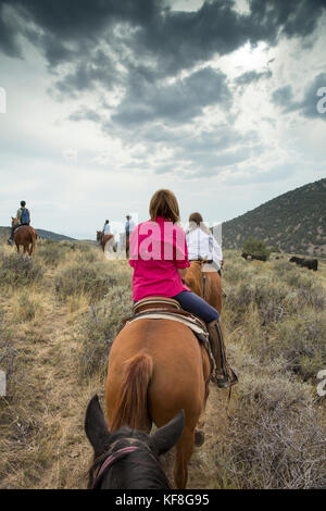 Usa, Nevada, Brunnen, Gäste können im Pferd teilnehmen Reiten Ausflüge während Ihres Aufenthaltes im Mustang Monument, einer nachhaltigen Luxus Eco friendly re Stockfoto