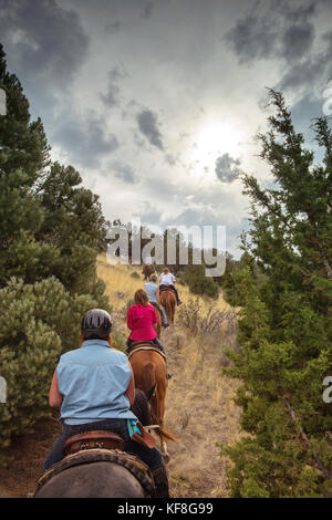 Usa, Nevada, Brunnen, Gäste können im Pferd teilnehmen Reiten Ausflüge während Ihres Aufenthaltes im Mustang Monument, einer nachhaltigen Luxus Eco friendly re Stockfoto