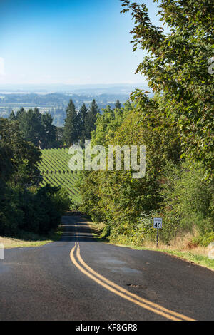 Usa, Oregon, Willamette Valley, Blick auf Weinberge von ne breyman Orchard Rd. von Durant Weinberge, Dayton Stockfoto