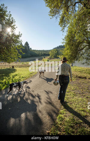 Usa, Oregon, Willamette Valley, Clare carver Spaziergänge in die Scheune ihre Pferde am grossen Tisch Betriebe Weingut abzurufen, Gaston Stockfoto