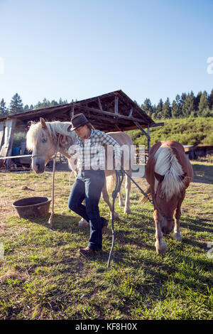 Usa, Oregon, Willamette Valley, Clare Carver führt ihre Pferde am großen Tisch Betriebe Weingut, Gaston Stockfoto