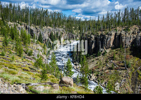 Über den Lewis River blicken, Yellowstone National Park, Wyoming, USA Stockfoto