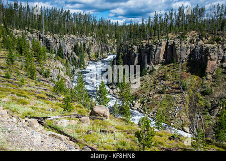 Über den Lewis River blicken, Yellowstone National Park, Wyoming, USA Stockfoto