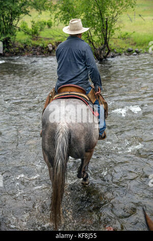 Usa, Oregon, Joseph, cowboy Todd nash Fahrten obwohl Big Sheep Creek nach dem Umzug Rinder im Regen, im Nordosten Oregon Stockfoto