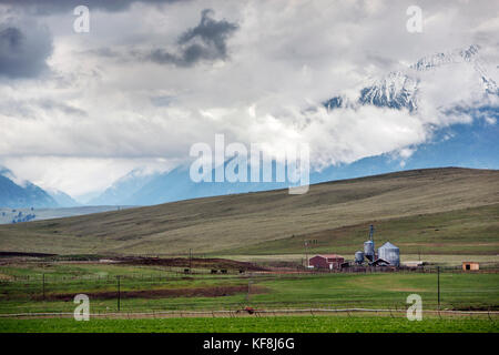 USA, Oregon, Joseph, eine alte Scheune entlang der Straße, die zum Zumwalt Prairie Preserve im Nordosten von Oregon führt und in Richtung Eagle Cap Wilderne blickt Stockfoto