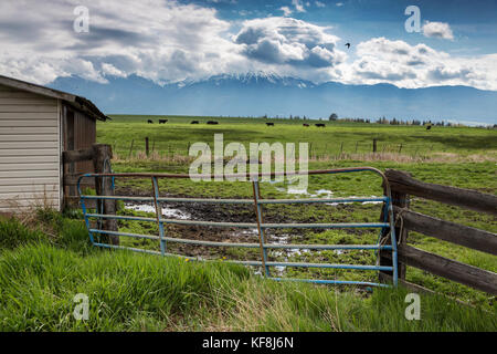 Usa, Oregon, Enterprise, die snyer Ranch im Nordosten von Ohio, in Richtung der Eagle cap Wildnis und der Wallowa Mountains suchen, Wallowa - Whitman nati Stockfoto