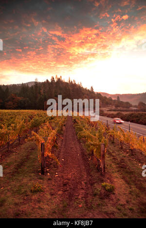 Usa, Oregon, Medford, woolridge Creek Winery im Herzen der Applegate River Valley im südlichen Oregon gelegen ist, wurden die ersten Reben plan Stockfoto