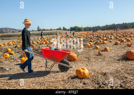 Usa, Oregon, Bend, eine Mutter Rädern um ihre zwei Kinder, sie sitzen in einer Schubkarre bei der jährlichen Pumpkin Patch in der Nähe von terrebone Smith ro entfernt Stockfoto