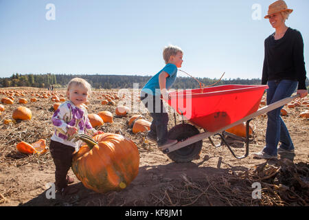 Usa, Oregon, Bend, eine junge Familie beschließt, Kürbisse, die bei der jährlichen Pumpkin Patch in der Nähe von terrebone Smith Rock State Park Stockfoto