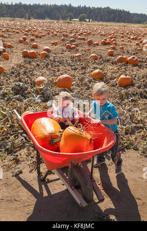 Usa, Oregon, Bend, eine junge Familie beschließt, Kürbisse, die bei der jährlichen Pumpkin Patch in der Nähe von terrebone Smith Rock State Park Stockfoto