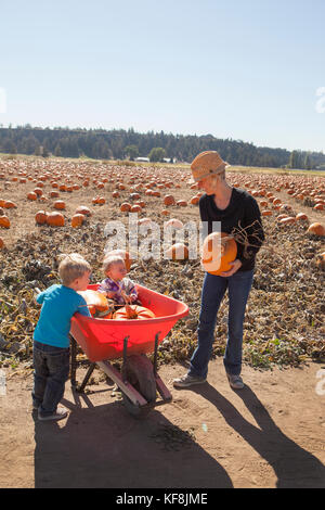 Usa, Oregon, Bend, eine junge Familie beschließt, Kürbisse, die bei der jährlichen Pumpkin Patch in der Nähe von terrebone Smith Rock State Park Stockfoto