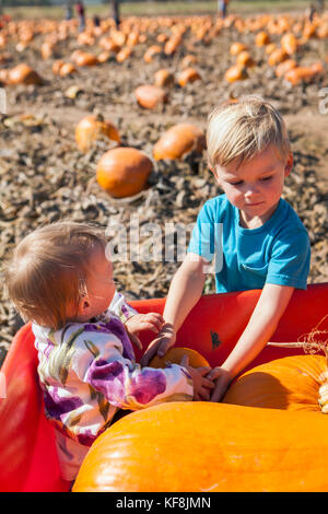 Usa, Oregon, Bend, eine junge Familie beschließt, Kürbisse, die bei der jährlichen Pumpkin Patch in der Nähe von terrebone Smith Rock State Park Stockfoto