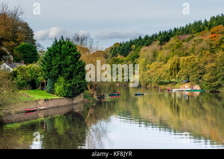 Der Fluss Wye an Symonds Yat Herefordshire und Gloucestershire Stockfoto