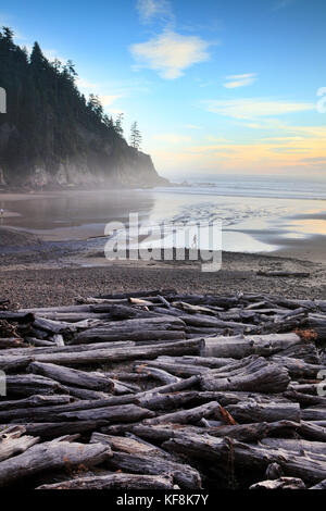 Usa, Oregon, Oswald west State Park, Personen hängen am Strand von Oswald State Park, südlich von Cannon Beach Stockfoto