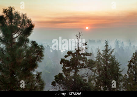 USA, Oregon, Bend, Blick durch den Rauch der Baumspitzen bei Sonnenuntergang Stockfoto