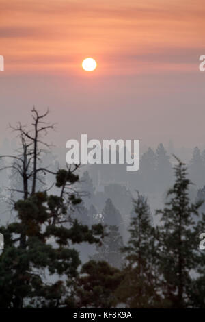 USA, Oregon, Bend, Blick durch den Rauch der Baumspitzen bei Sonnenuntergang Stockfoto