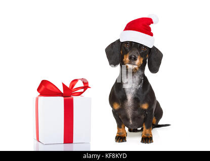 Lustige dackel Wurst santa claus Hund auf Weihnachten das Tragen der roten Urlaub hat, auf weißem Hintergrund mit einem vorhanden oder Geschenk Box isoliert Stockfoto