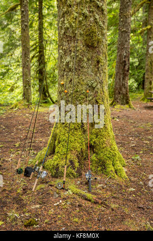 Usa, Oregon, Santiam River, braun Cannon, Angeln ruhte sich gegen einen Baum auf dem Campingplatz Stockfoto