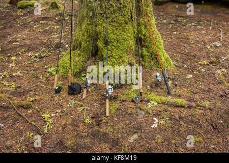 Usa, Oregon, Santiam River, braun Cannon, Angeln ruhte sich gegen einen Baum auf dem Campingplatz Stockfoto