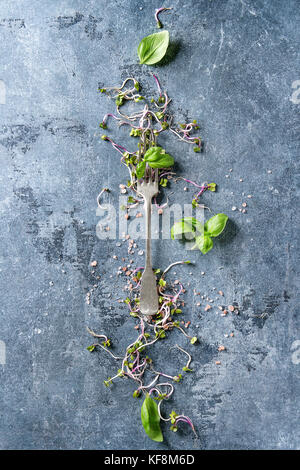 Junge Radieschen Sprossen mit rosa Himalaya Salz und Basilikum mit Vintage Gabel über blaue Textur Hintergrund. Ansicht von oben mit der Kopie Raum. gesunde Ernährung Stockfoto