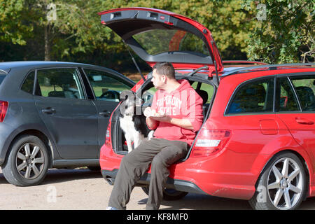 Mann sitzt im Kofferraum des Autos essen eine Speck sandwich als seine Border Collie Hund auf Wunsch in Reigate, Surrey, England zu teilen sieht Stockfoto