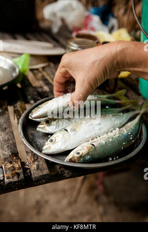 Philippinen, Palawan, Barangay region, Abendessen und frische Zutaten werden vorbereitet und über dem offenen Feuer im Dorf kalakwasan gekocht Stockfoto