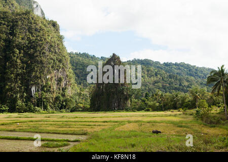 Philippinen, Palawan, Sabang, Landschaft der landwirtschaftlichen Weide vor dem Marmor Berge Stockfoto