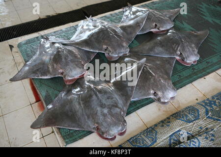 Rochen in einem arabischen Markt in Muskat - Stingray im arabischen Markt in Oman Stockfoto