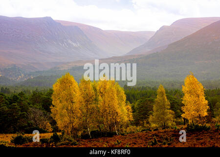 Herbst die Sonne über die Berge und Lairig Ghru Pass, der durch die Rothiemurchus Estate Pässe, Cairngorms National Park, Schottland Stockfoto