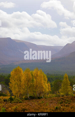 Herbst die Sonne über die Berge und Lairig Ghru Pass, der durch die Rothiemurchus Estate Pässe, Cairngorms National Park, Schottland Stockfoto