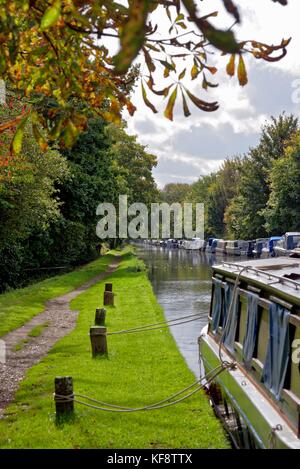 Der Fluss Wey Navigation auf New Haw Surrey UKl Stockfoto