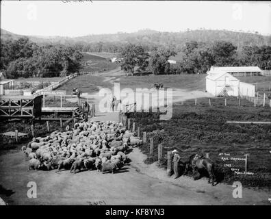 Am Bahnuebergang, Bongalong, NSW (3593619399) Stockfoto