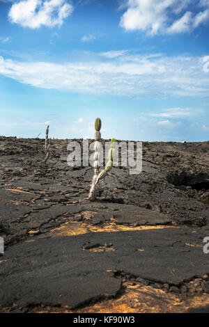 Galapagos, Ecuador, Landschaft zu sehen, während Sie rund um Punta Moreno auf der Insel Isabela Stockfoto