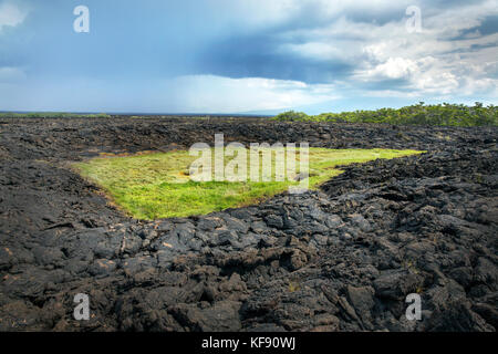 Galapagos, Ecuador, Landschaft zu sehen, während Sie rund um Punta Moreno auf der Insel Isabela Stockfoto