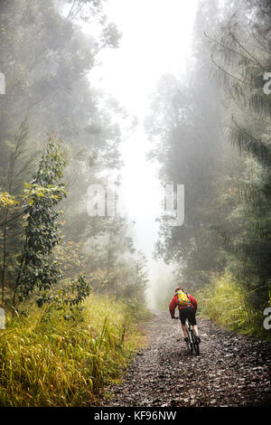 Usa, Hawaii, Big Island, Journalist Daniel duane Mountainbikes, Schlamm Lane von der Straße 19 Straße zu 240 Stockfoto