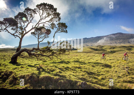 Usa, Hawaii, Big Island, Journalist Daniel Duane und Küchenchef Seamus mullens Mountainbike auf Mana Straße an der Basis der kiluea Vulkan Stockfoto