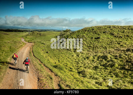 Usa, Hawaii, Big Island, Journalist Daniel Duane und Küchenchef Seamus mullens Mountainbike auf Mana Straße an der Basis der kiluea Vulkan Stockfoto