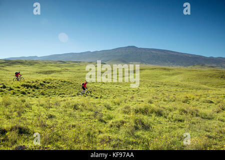 Usa, Hawaii, Big Island, Journalist Daniel Duane und Küchenchef Seamus mullens Mountainbike auf Mana Straße an der Basis der kiluea Vulkan Stockfoto